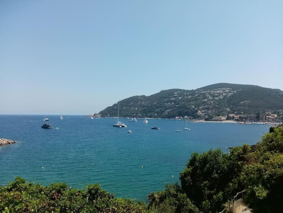 2 Pieces Climatise A 200M Des Plages Apartman Théoule-sur-Mer Kültér fotó